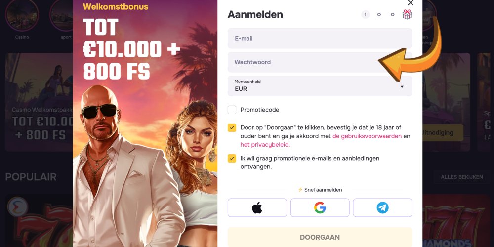 registratiegegevens invoeren